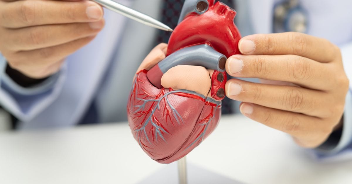 Trisol Medical Announces Positive Early Feasibility Study Results