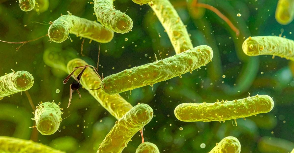 Singapore Explores Phage Therapy Resistance Mechanisms