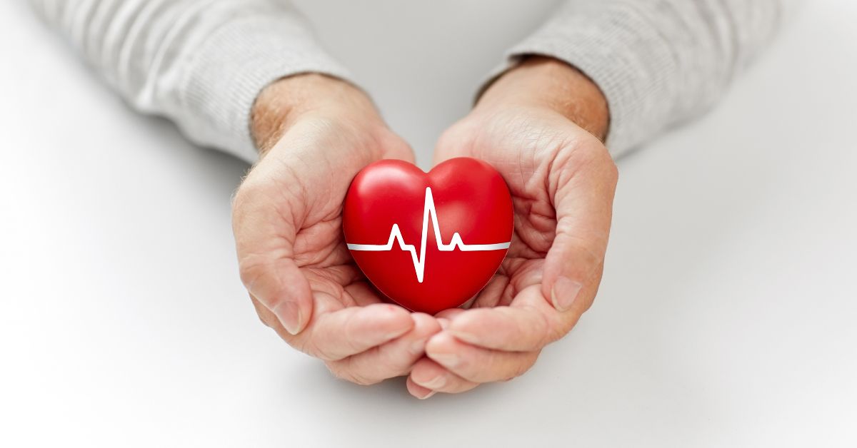 MicroPort CardioFlow Launches LBBOT Solution in Europe, Australia