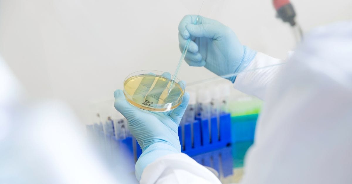 OTR Therapeutics and LG Chem Partner to Advance Oncology Assets