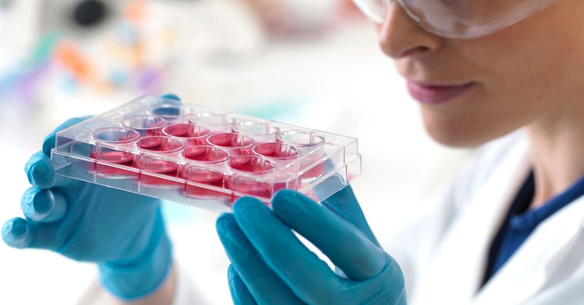 REPROCELL Seeks Japan Approval for Stem Cell Therapy