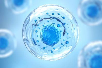 ASTAR-GIS-and-10x-Genomics-Launch-TISHUMAP-Study.jpg