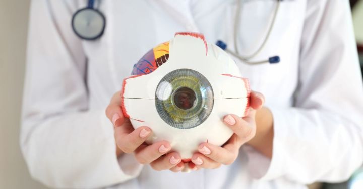 BioMed X and Boehringer Ingelheim Expand XSeed Labs Partnership
