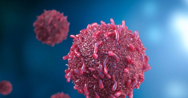 China Approves Enhertu for Second-Line Gastric Cancer