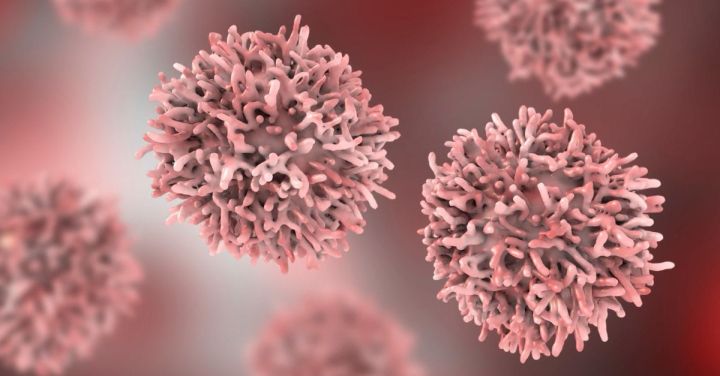 EDDC Partners Daiichi Sankyo on NK Cell Cancer Therapy