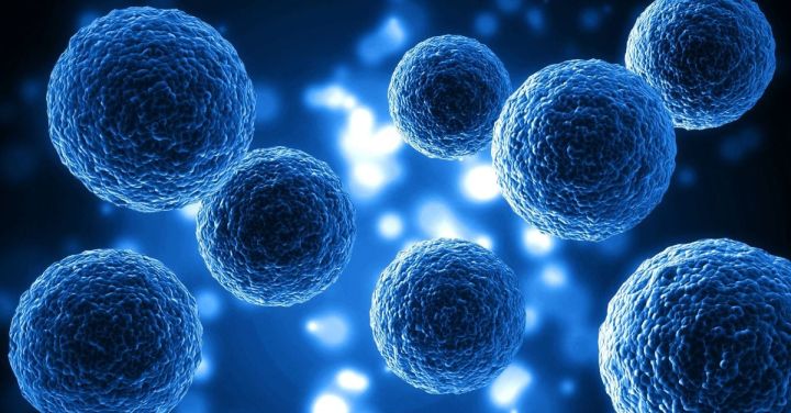 Godavari Biorefineries Validates European Patent for Anti-Cancer Molecule