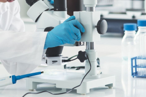 Meiji Seika Pharma to Set Up Singapore Subsidiary for ASEAN Expansion