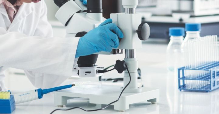 Meiji Seika Pharma to Set Up Singapore Subsidiary for ASEAN Expansion