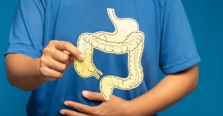 Metagen Launches Gut Design Programme ASEAN at Global Knowledge Hub Forum
