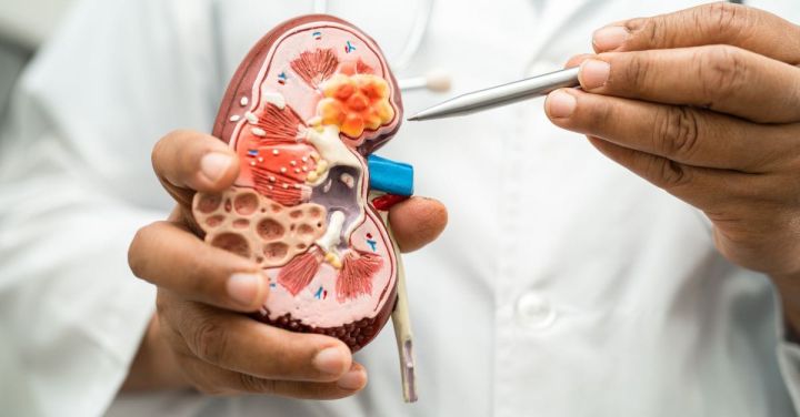 NKF Reports Over 200,000 New CKD Cases in Singapore