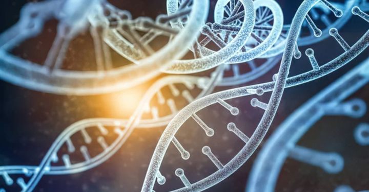 NUHS Launches Centre for Genomic Medicine
