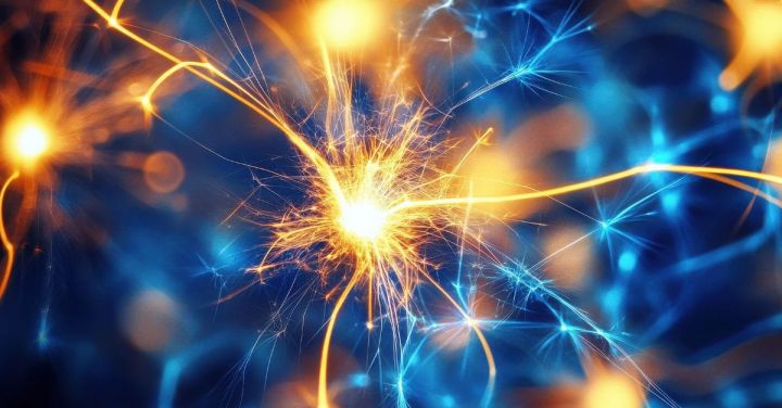 NUS Medicine Researchers Identify Protein That Enhances Neural Stem Cell Regeneration