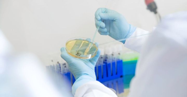 OTR Therapeutics and LG Chem Partner to Advance Oncology Assets