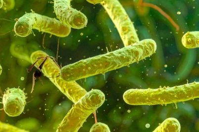 Singapore-Explores-Phage-Therapy-Resistance-Mechanisms.jpg