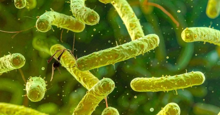 Singapore Explores Phage Therapy Resistance Mechanisms