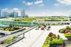 city-park-blue-sky-with-downtown-skyline-background-scaled-1.webp